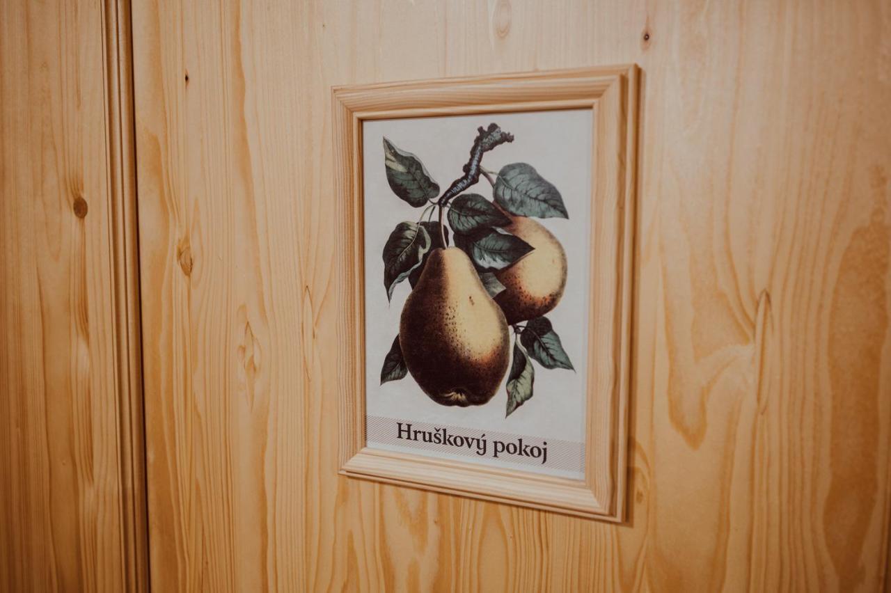 Penzion Brusinka Kocourov  Eksteriør billede